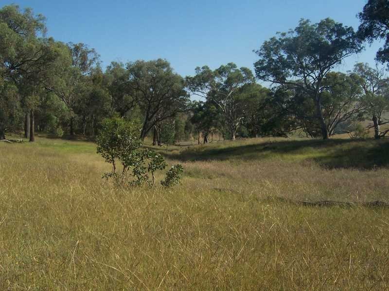 145 Merrimac Brungle Road, Gundagai NSW 2722