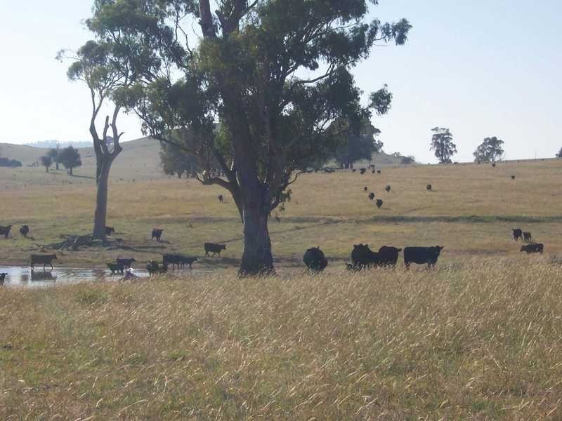 145 Merrimac Brungle Road, Gundagai NSW 2722