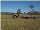 145 Merrimac Brungle Road, Gundagai NSW 2722