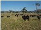145 Merrimac Brungle Road, Gundagai NSW 2722