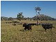 145 Merrimac Brungle Road, Gundagai NSW 2722