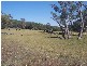 145 Merrimac Brungle Road, Gundagai NSW 2722
