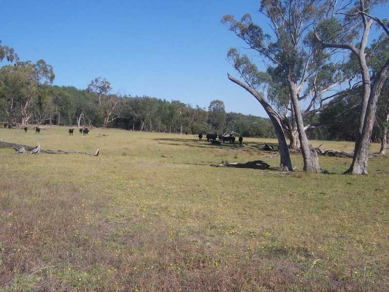 145 Merrimac Brungle Road, Gundagai NSW 2722