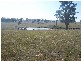 145 Merrimac Brungle Road, Gundagai NSW 2722
