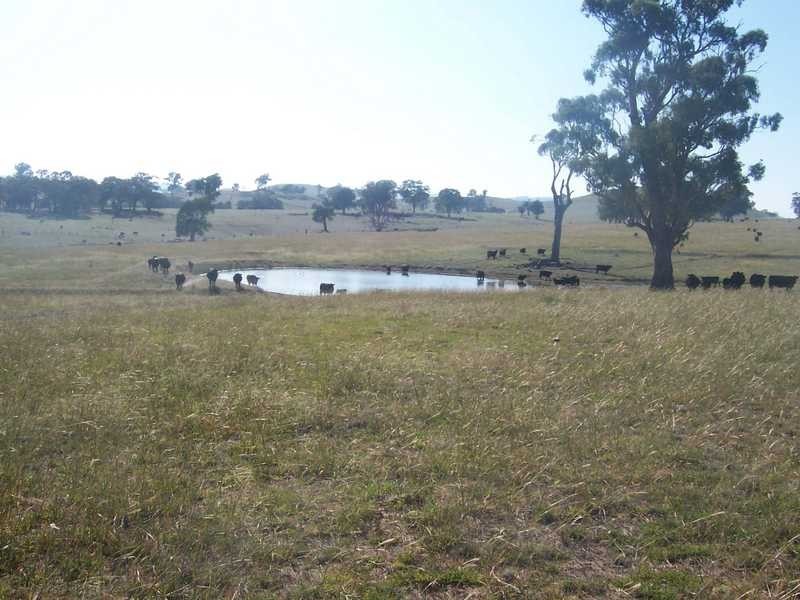 145 Merrimac Brungle Road, Gundagai NSW 2722