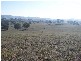 145 Merrimac Brungle Road, Gundagai NSW 2722