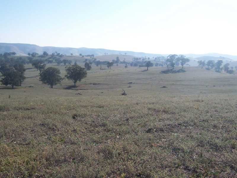 145 Merrimac Brungle Road, Gundagai NSW 2722