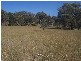 145 Merrimac Brungle Road, Gundagai NSW 2722