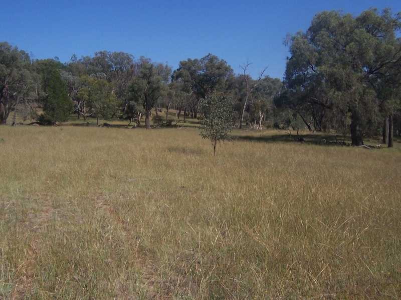 145 Merrimac Brungle Road, Gundagai NSW 2722
