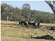 145 Merrimac Brungle Road, Gundagai NSW 2722