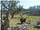 145 Merrimac Brungle Road, Gundagai NSW 2722