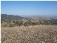 145 Merrimac Brungle Road, Gundagai NSW 2722
