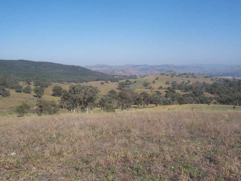145 Merrimac Brungle Road, Gundagai NSW 2722