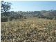 145 Merrimac Brungle Road, Gundagai NSW 2722