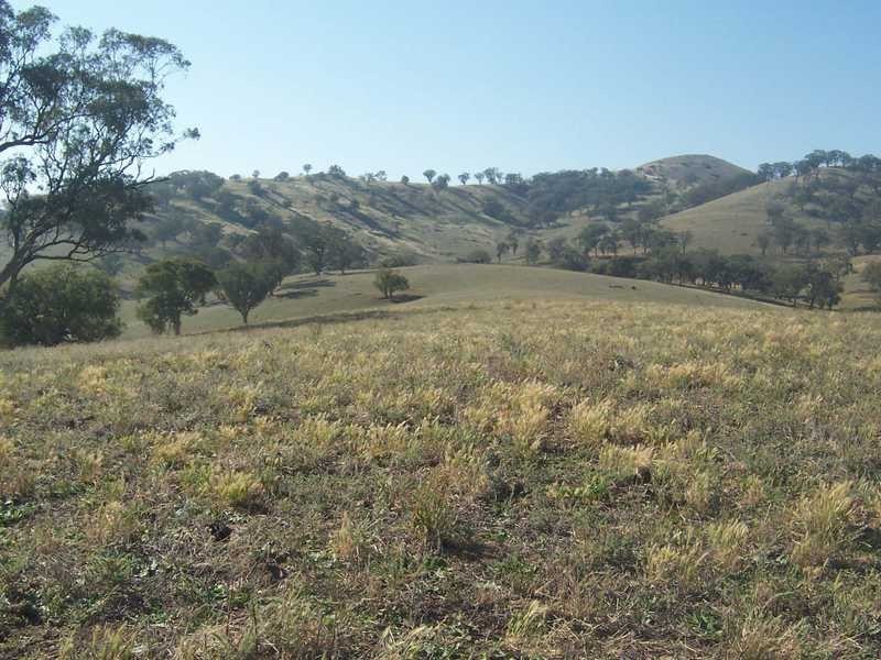 145 Merrimac Brungle Road, Gundagai NSW 2722