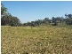 145 Merrimac Brungle Road, Gundagai NSW 2722