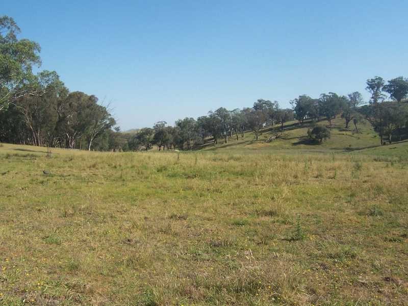 145 Merrimac Brungle Road, Gundagai NSW 2722
