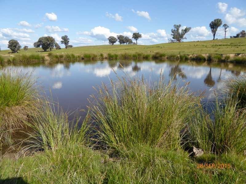 ‘Gunnedoo’ Keajura Via, Tarcutta NSW 2652