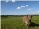 ‘Gunnedoo’ Keajura Via, Tarcutta NSW 2652