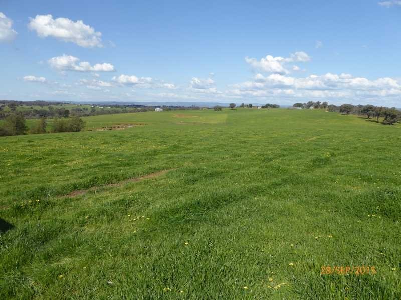 ‘Gunnedoo’ Keajura Via, Tarcutta NSW 2652