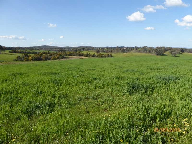 ‘Gunnedoo’ Keajura Via, Tarcutta NSW 2652