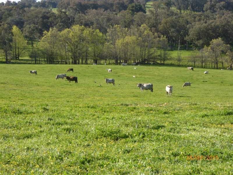 ‘Gunnedoo’ Keajura Via, Tarcutta NSW 2652