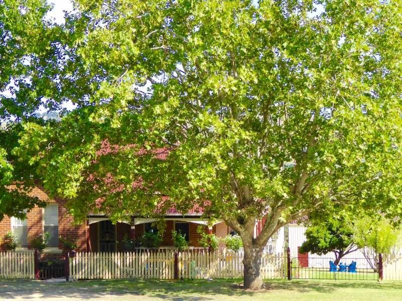 59 Mount Street, Gundagai NSW 2722
