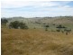 Lot 24/120 Reno Road, Gundagai NSW 2722