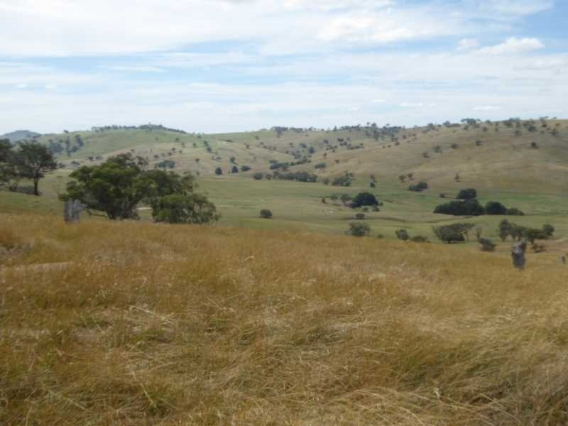 Lot 24/120 Reno Road, Gundagai NSW 2722
