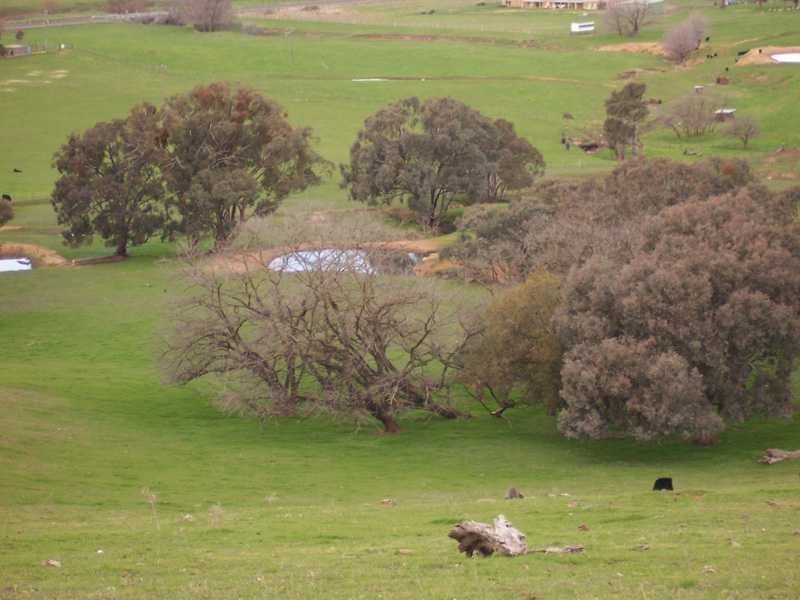 Lot/23 – 28 Jones Creek Subdivision, Gundagai NSW 2722