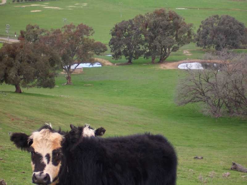 Lot/23 – 28 Jones Creek Subdivision, Gundagai NSW 2722