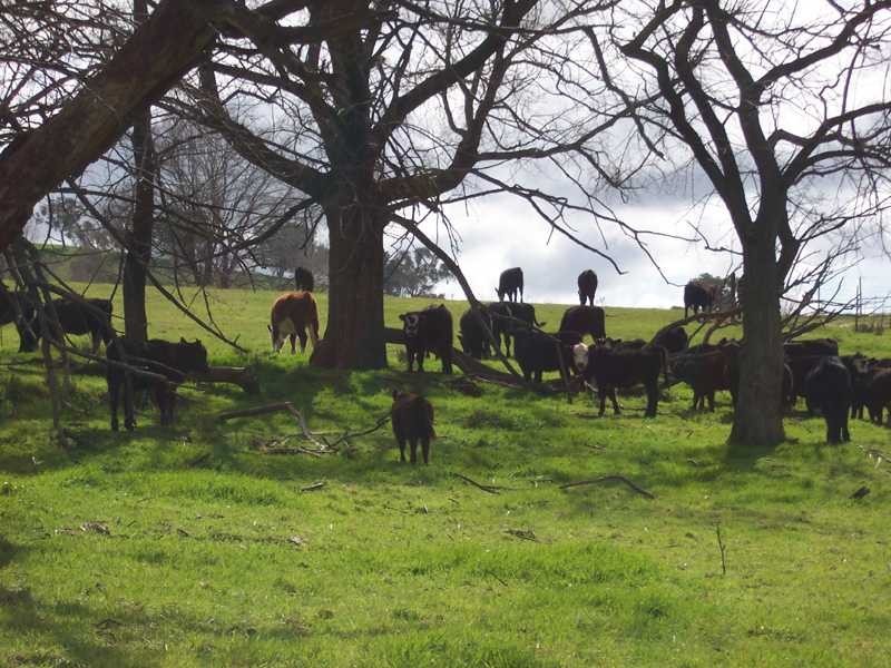 Lot/23 – 28 Jones Creek Subdivision, Gundagai NSW 2722