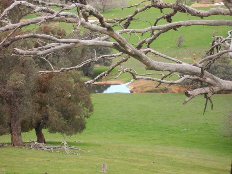 Lot/23 – 28 Jones Creek Subdivision, Gundagai NSW 2722