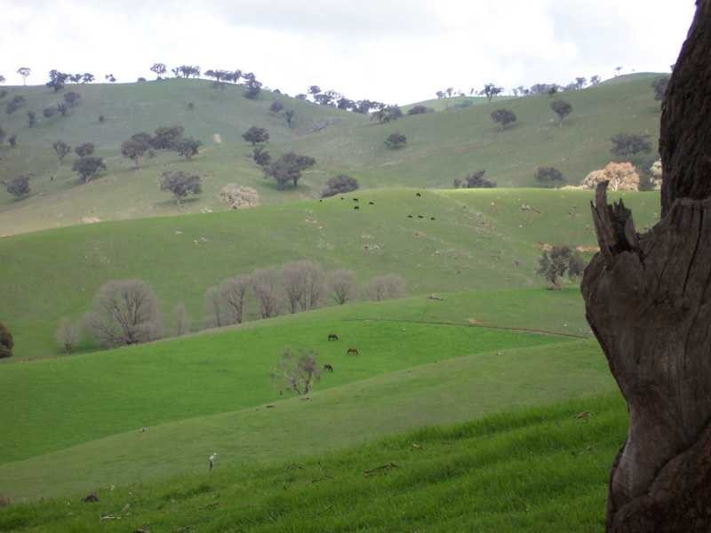 Lot/23 – 28 Jones Creek Subdivision, Gundagai NSW 2722