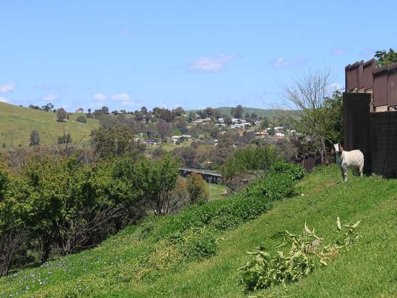 40 Punch Street, Gundagai NSW 2722