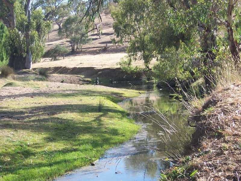 Rose Farm Muttama Road, Coolac NSW 2727