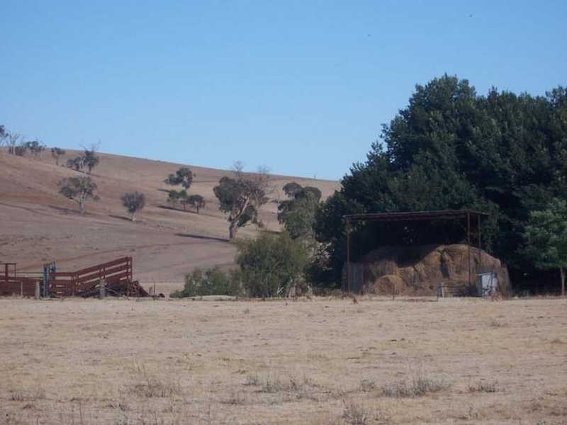 Rose Farm Muttama Road, Coolac NSW 2727