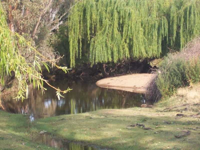 Rose Farm Muttama Road, Coolac NSW 2727