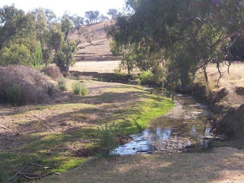 Rose Farm Muttama Road, Coolac NSW 2727