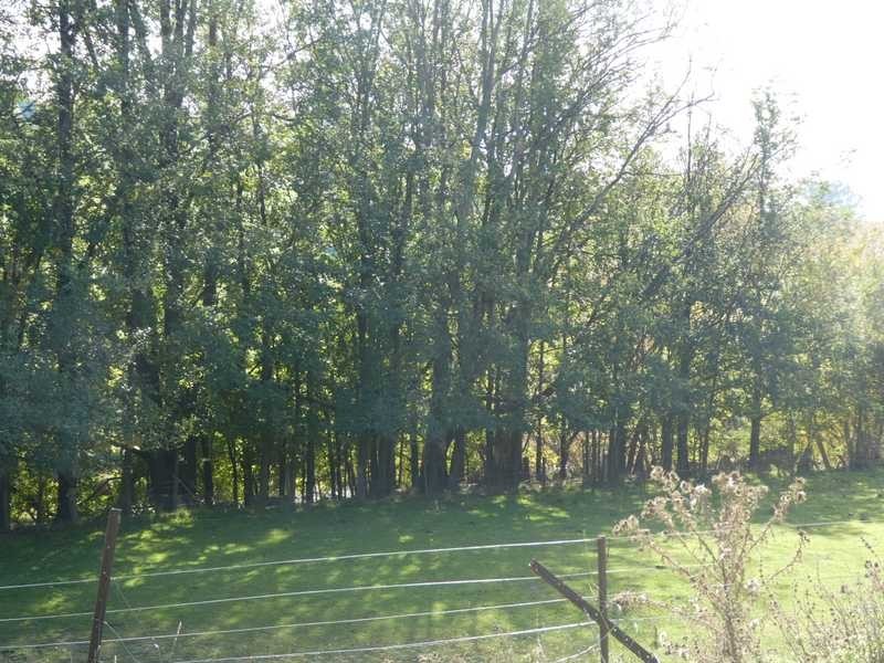 64 Redhill  Road, Adjungbilly NSW 2727