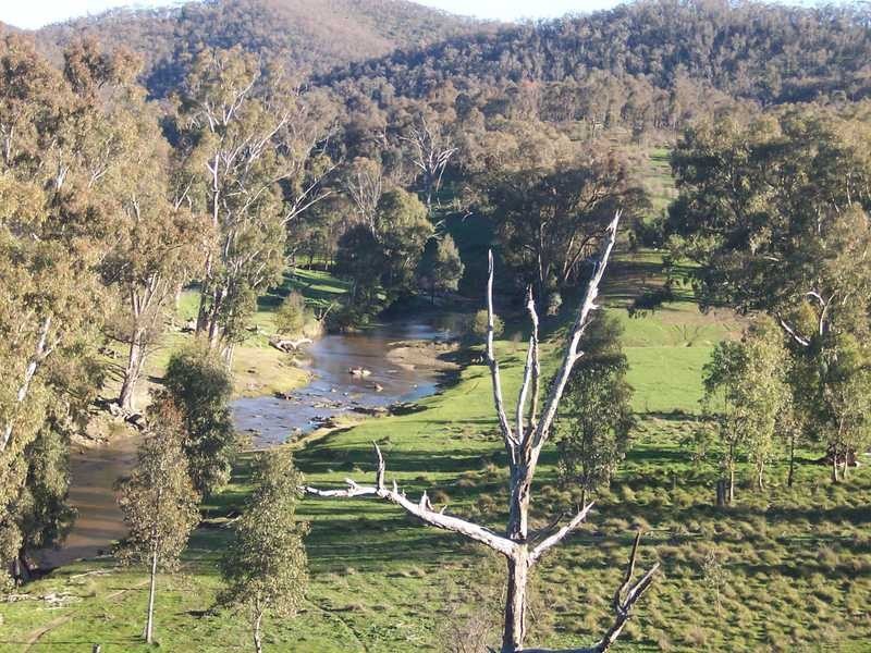 349 Scholz Road, Mount Adrah NSW 2729