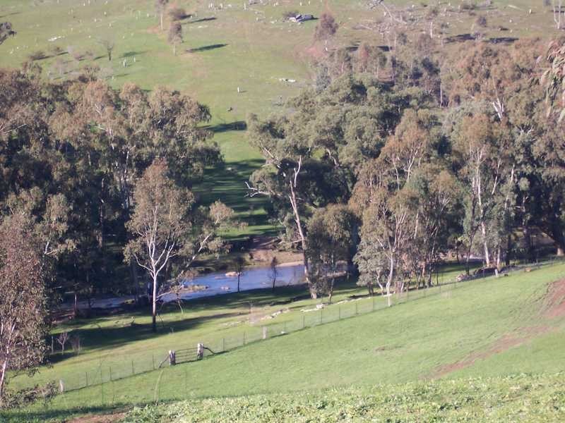 349 Scholz Road, Mount Adrah NSW 2729