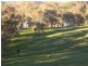 349 Scholz Road, Mount Adrah NSW 2729
