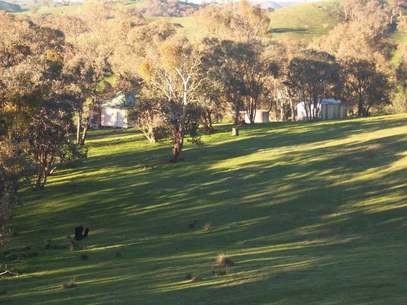 349 Scholz Road, Mount Adrah NSW 2729