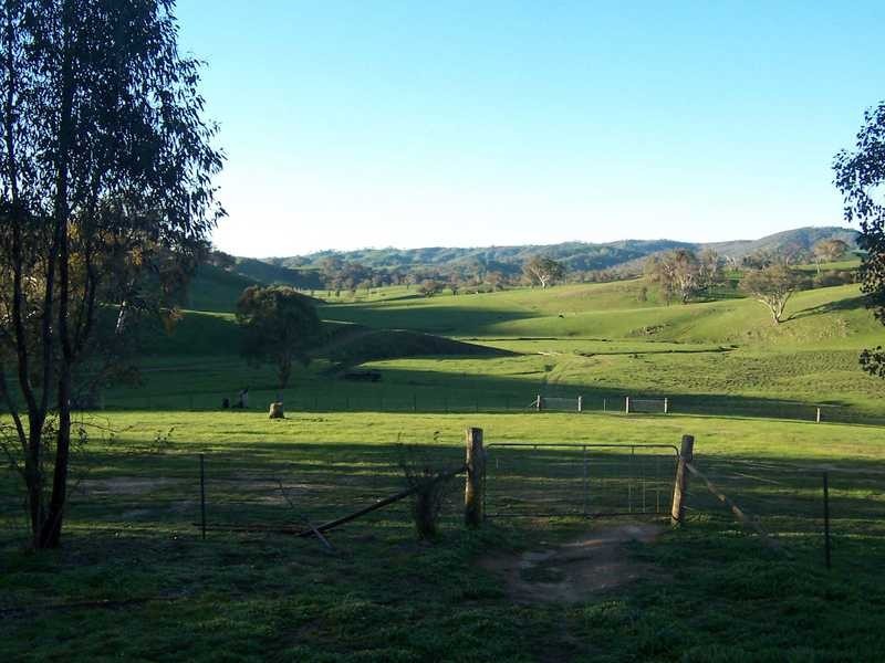 349 Scholz Road, Mount Adrah NSW 2729