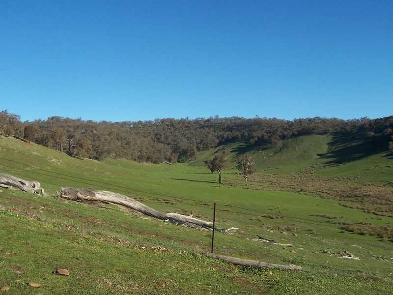 349 Scholz Road, Mount Adrah NSW 2729
