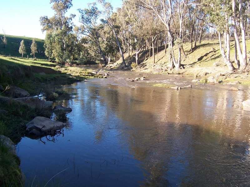 349 Scholz Road, Mount Adrah NSW 2729