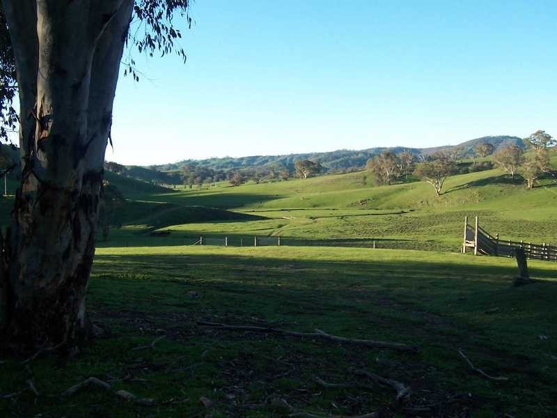 349 Scholz Road, Mount Adrah NSW 2729
