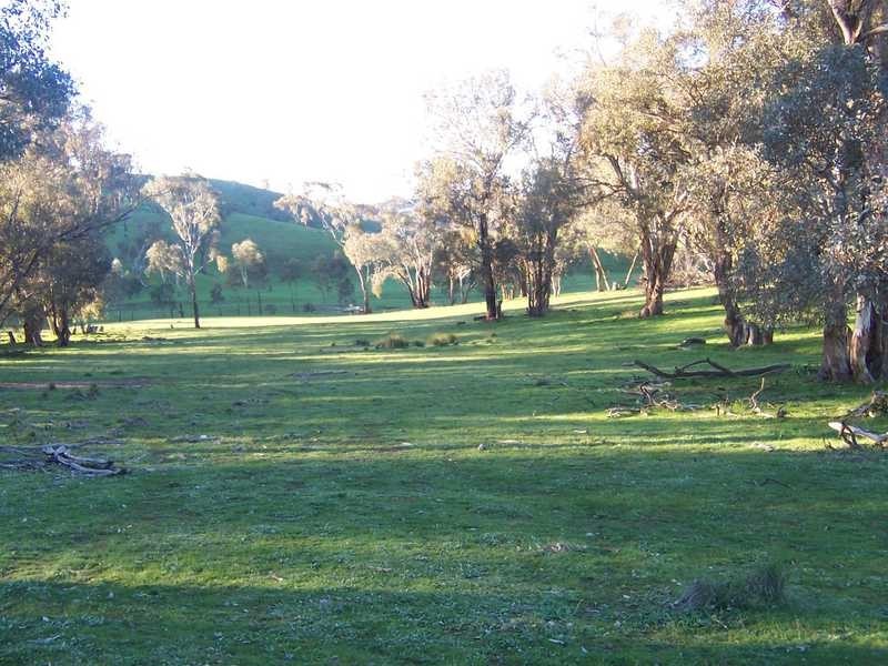 349 Scholz Road, Mount Adrah NSW 2729