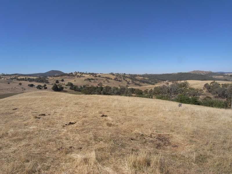 Lot/1 Gocup Road, Gundagai NSW 2722